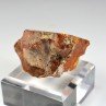 Amber - Chevrière, Oise, France
