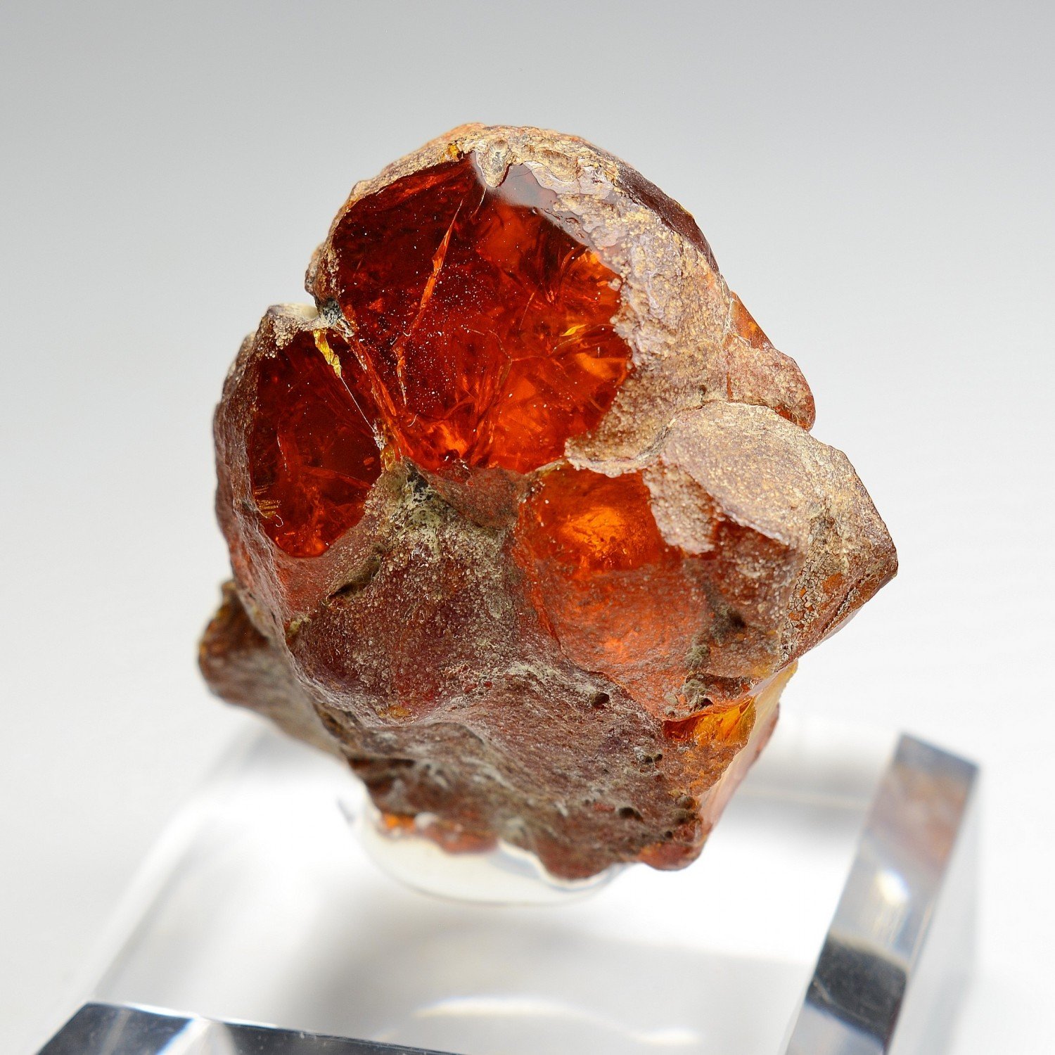 Amber - Chevrière, Oise, France