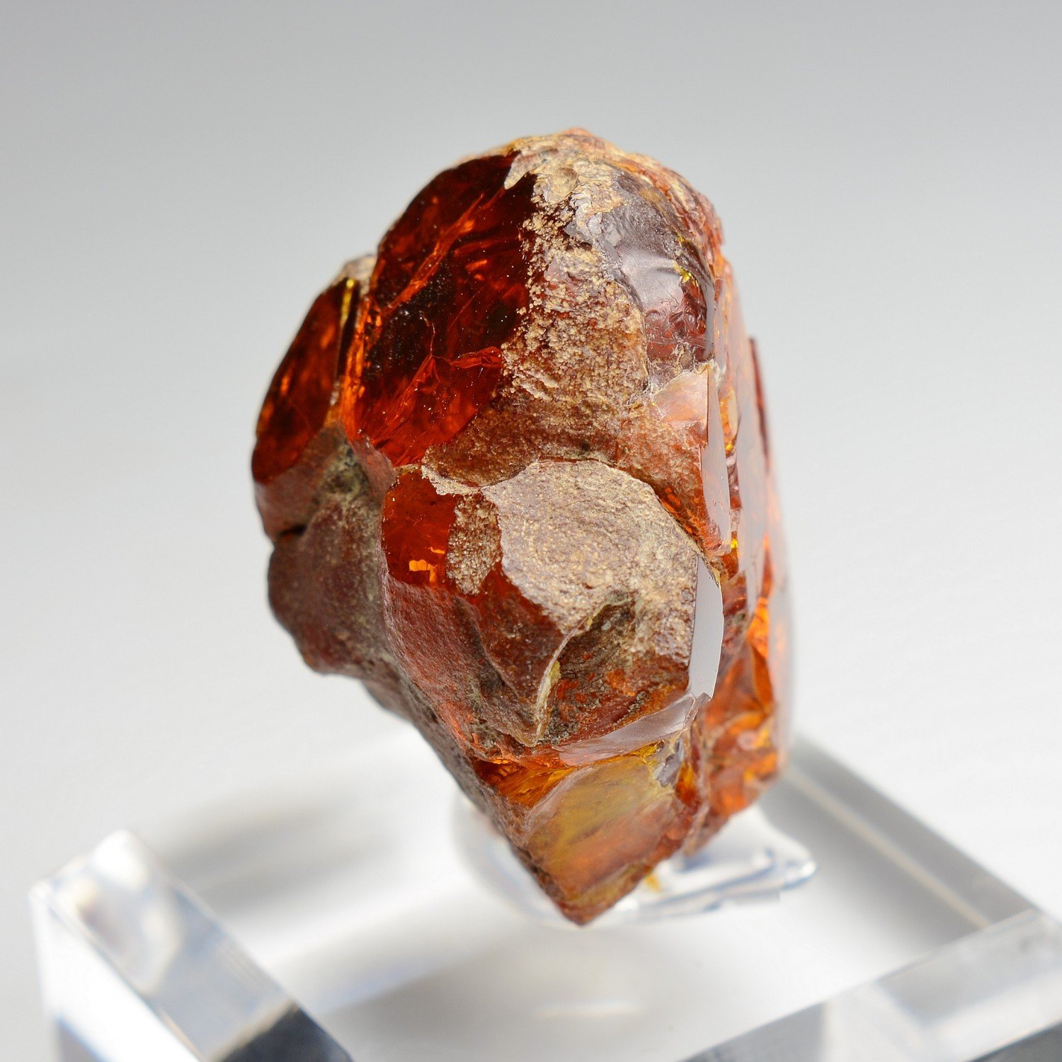 Amber - Chevrière, Oise, France