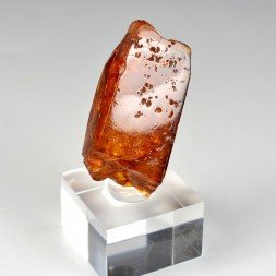 Ambre - Chevrière, Oise, France