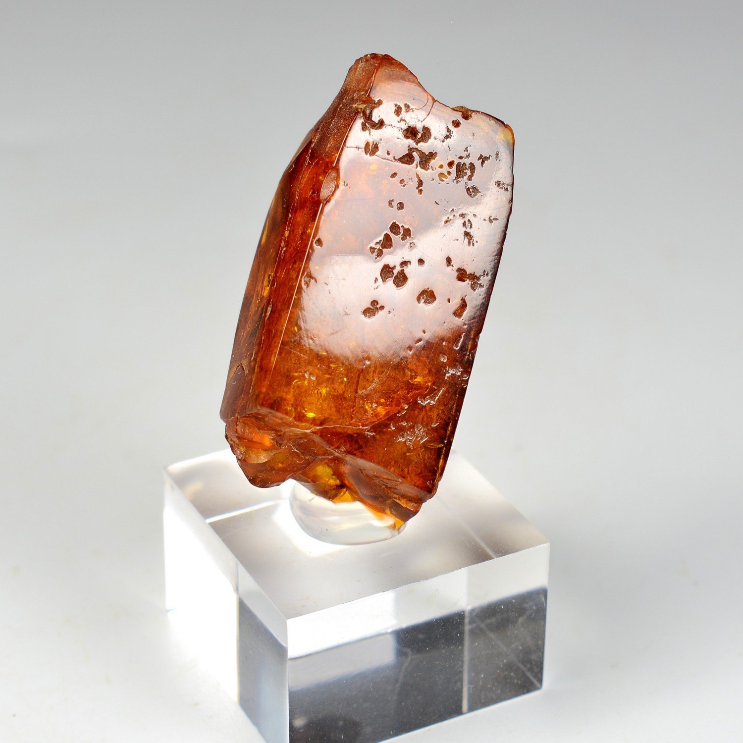 Amber - Chevrière, Oise, France