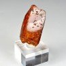 Amber - Chevrière, Oise, France