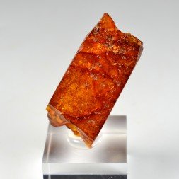 Amber - Chevrière, Oise, France