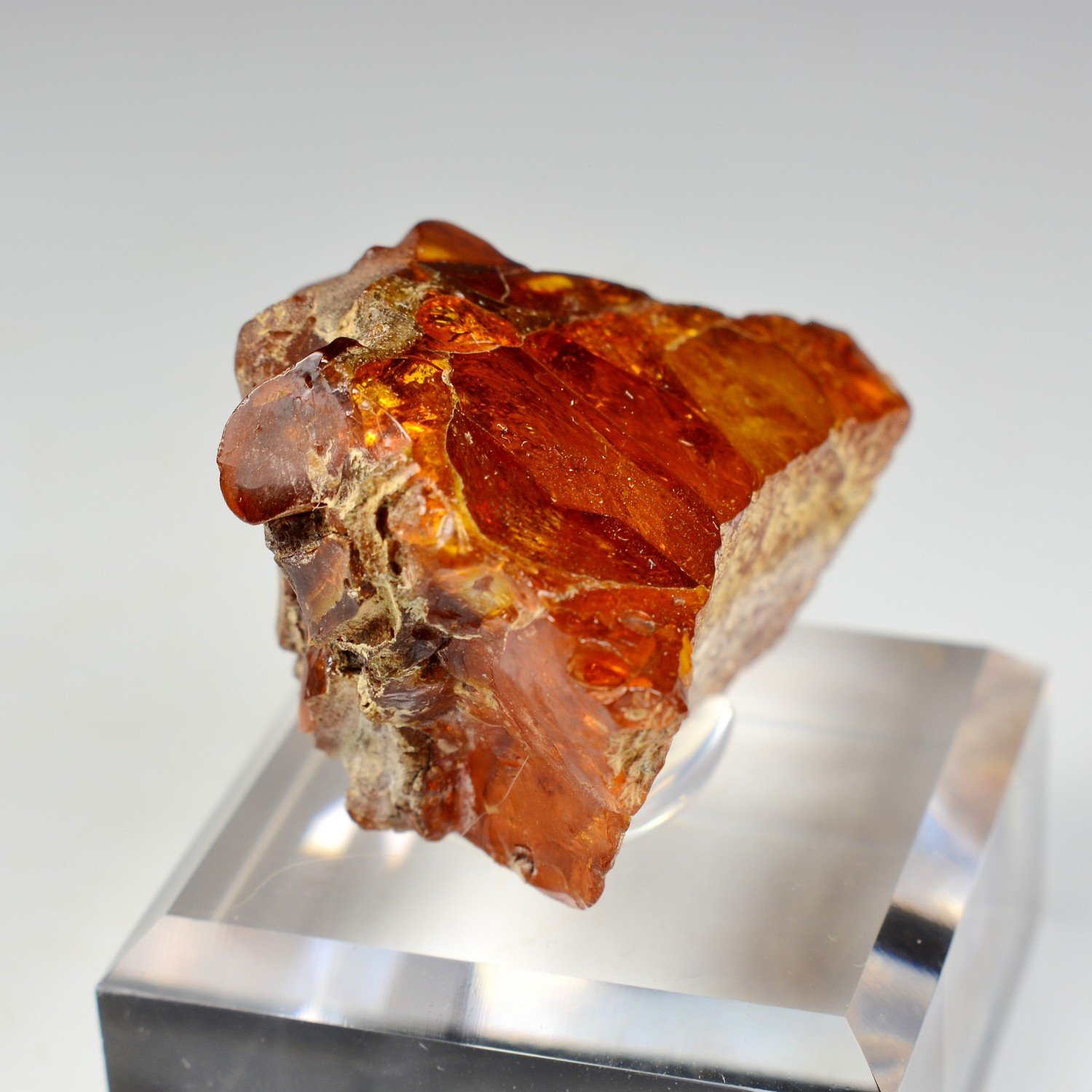 Amber - Chevrière, Oise, France