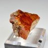 Amber - Chevrière, Oise, France