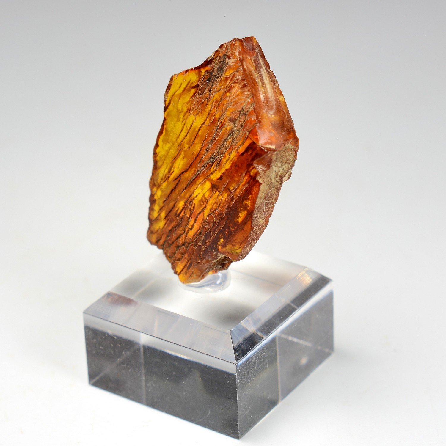 Amber - Chevrière, Oise, France