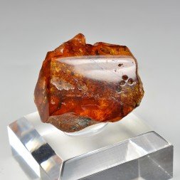 Ambre - Chevrière, Oise, France