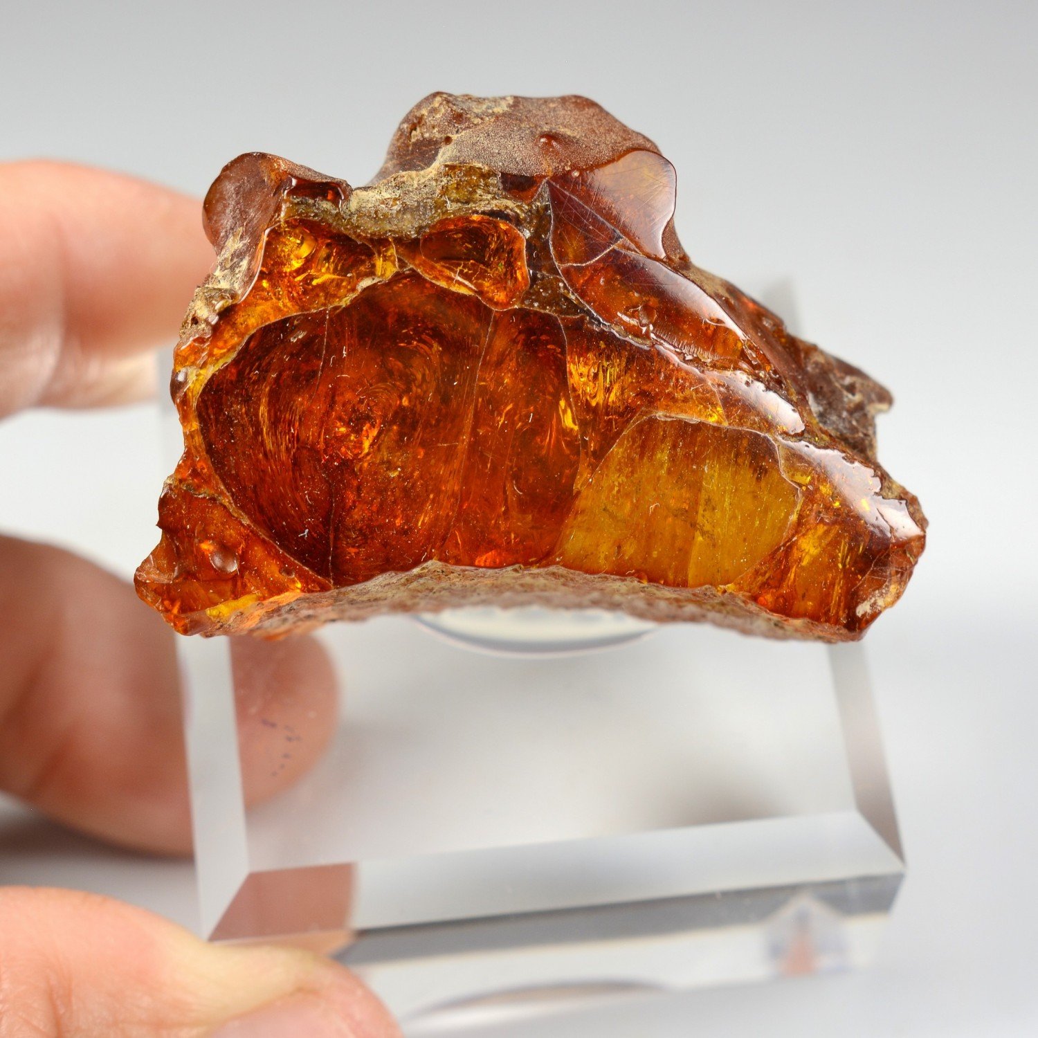Amber - Chevrière, Oise, France