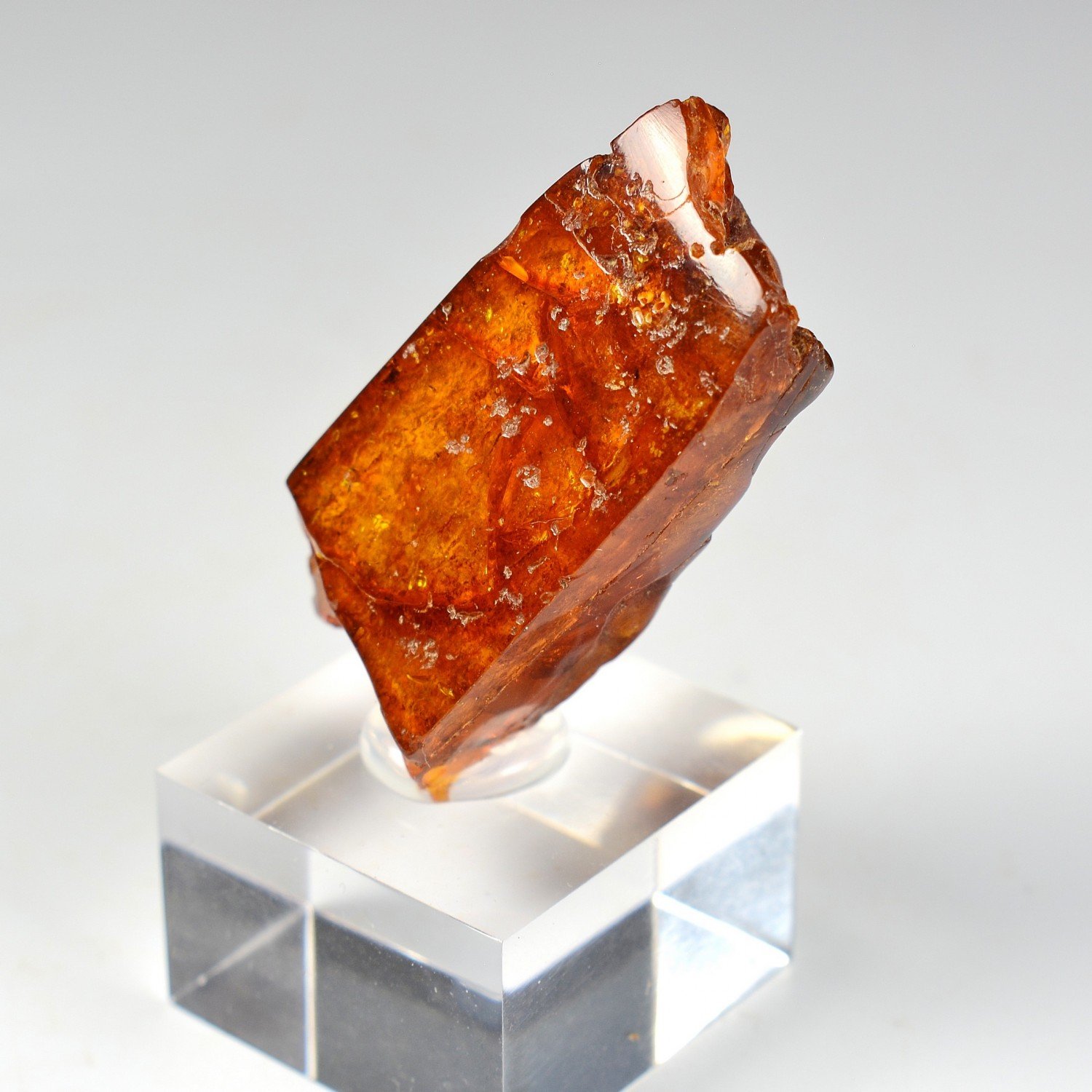 Amber - Chevrière, Oise, France