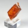 Amber - Chevrière, Oise, France