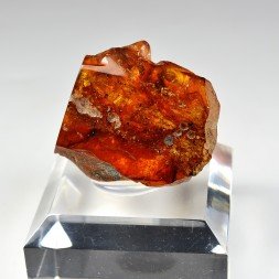 Amber - Chevrière, Oise, France