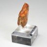 Amber - Chevrière, Oise, France