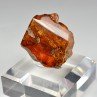 Amber - Chevrière, Oise, France