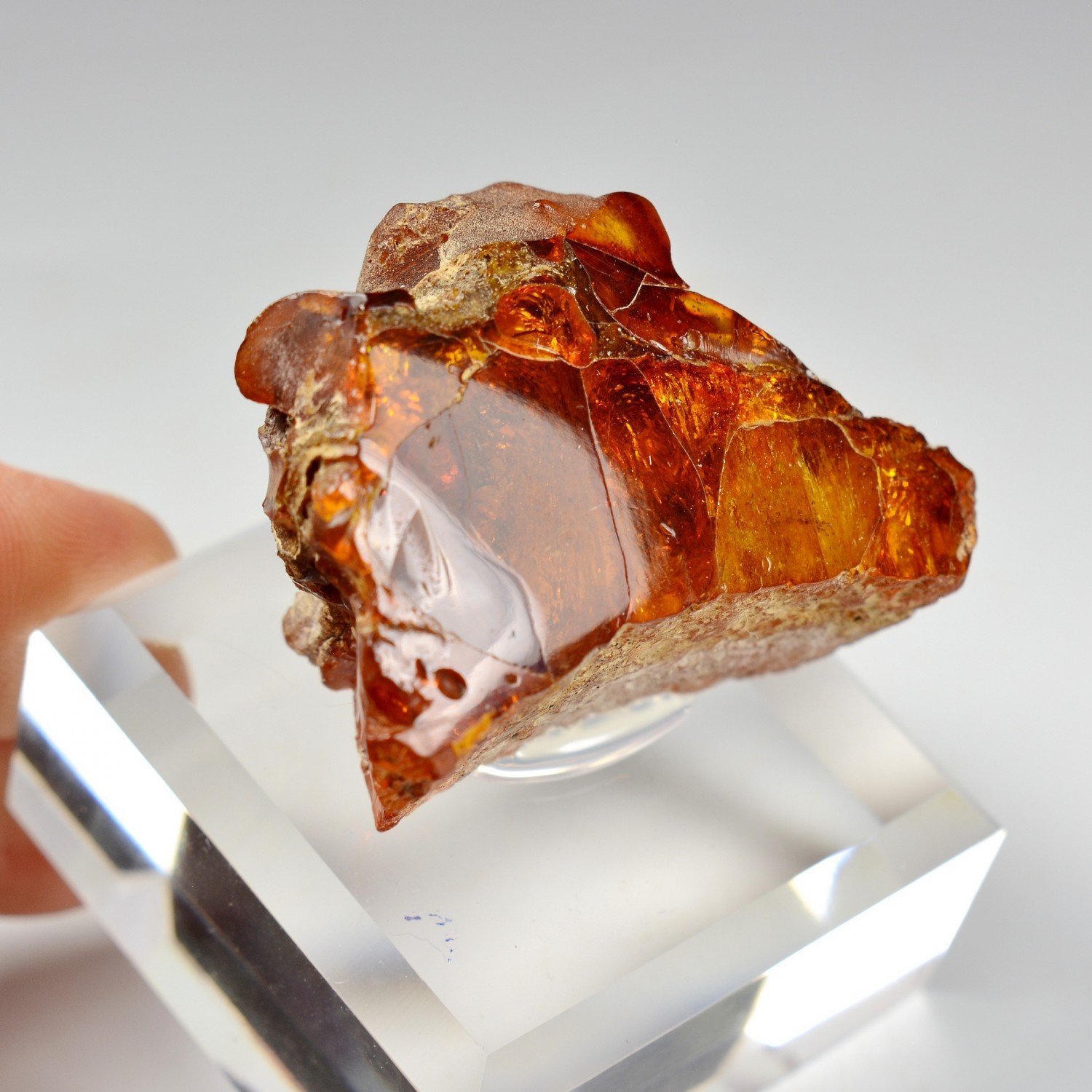 Amber - Chevrière, Oise, France