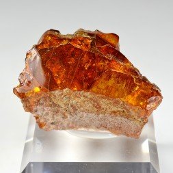 Ambre - Chevrière, Oise, France