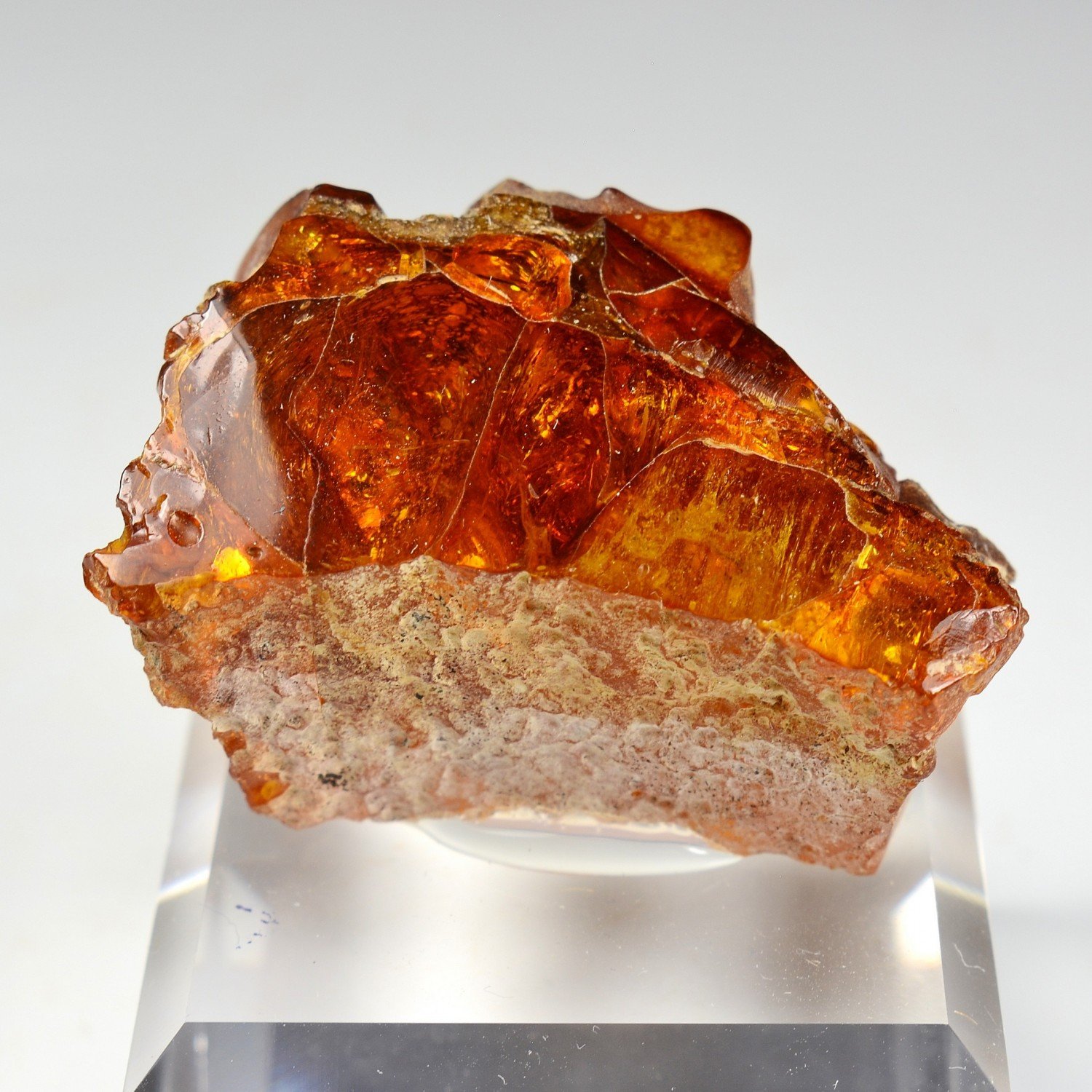 Amber - Chevrière, Oise, France