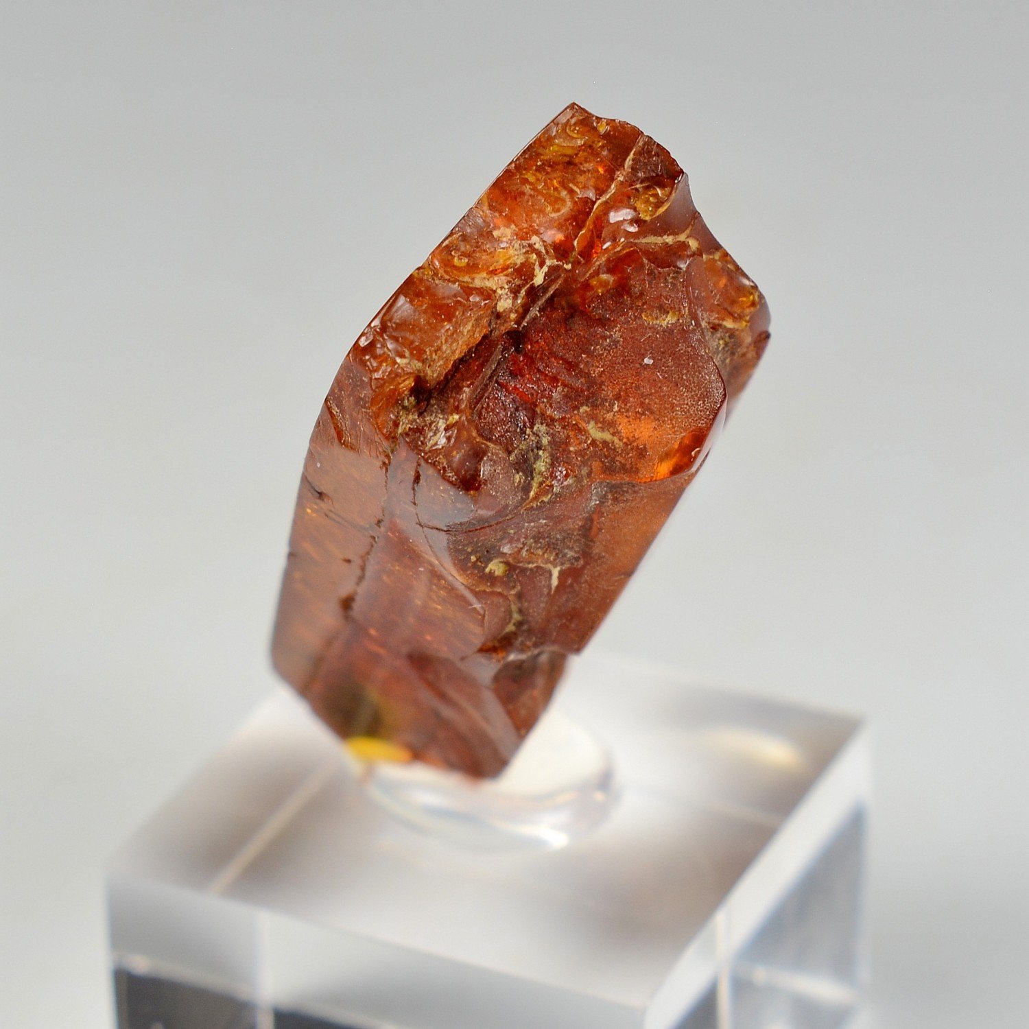 Amber - Chevrière, Oise, France