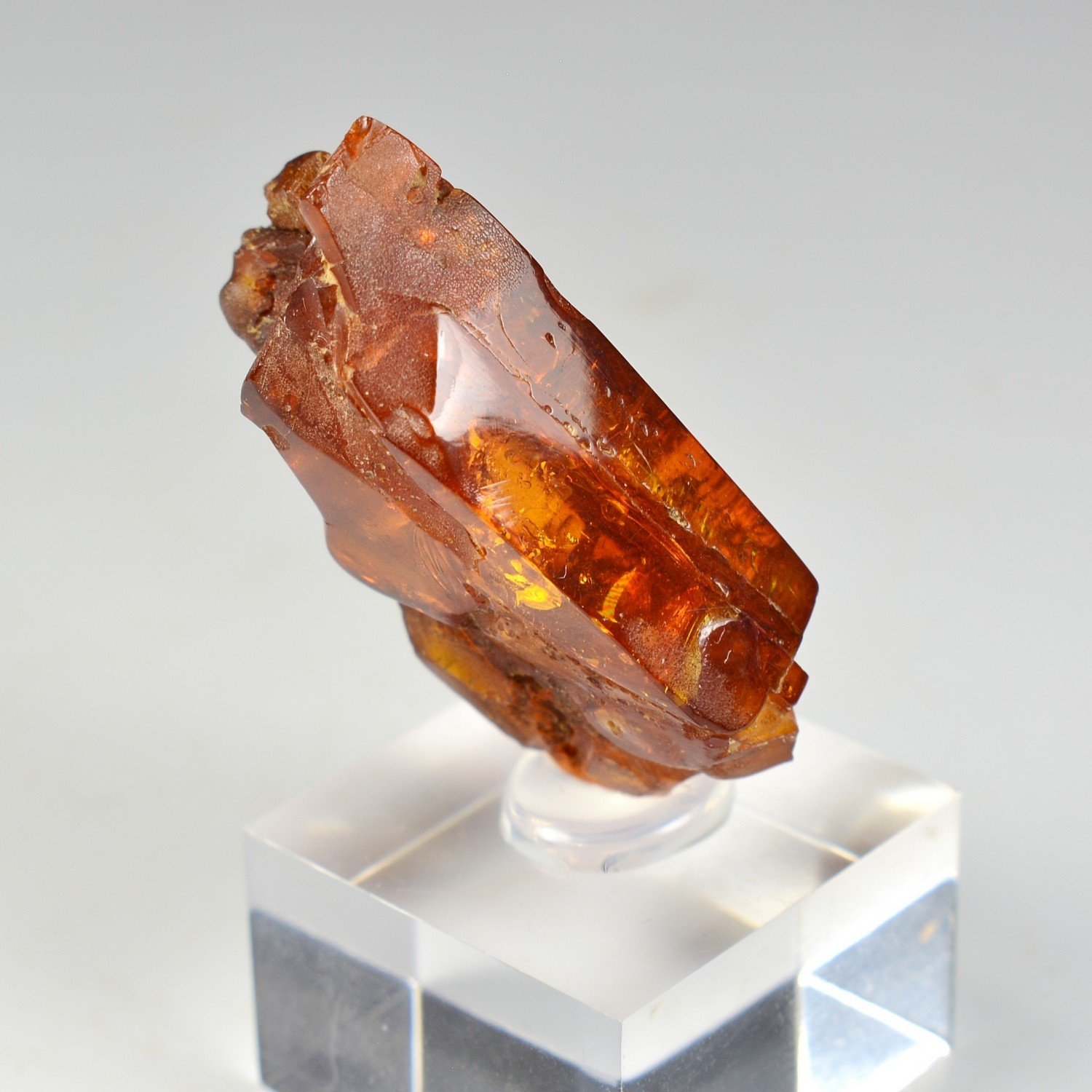 Amber - Chevrière, Oise, France