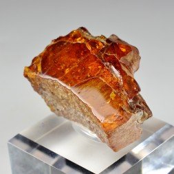 Amber - Chevrière, Oise, France