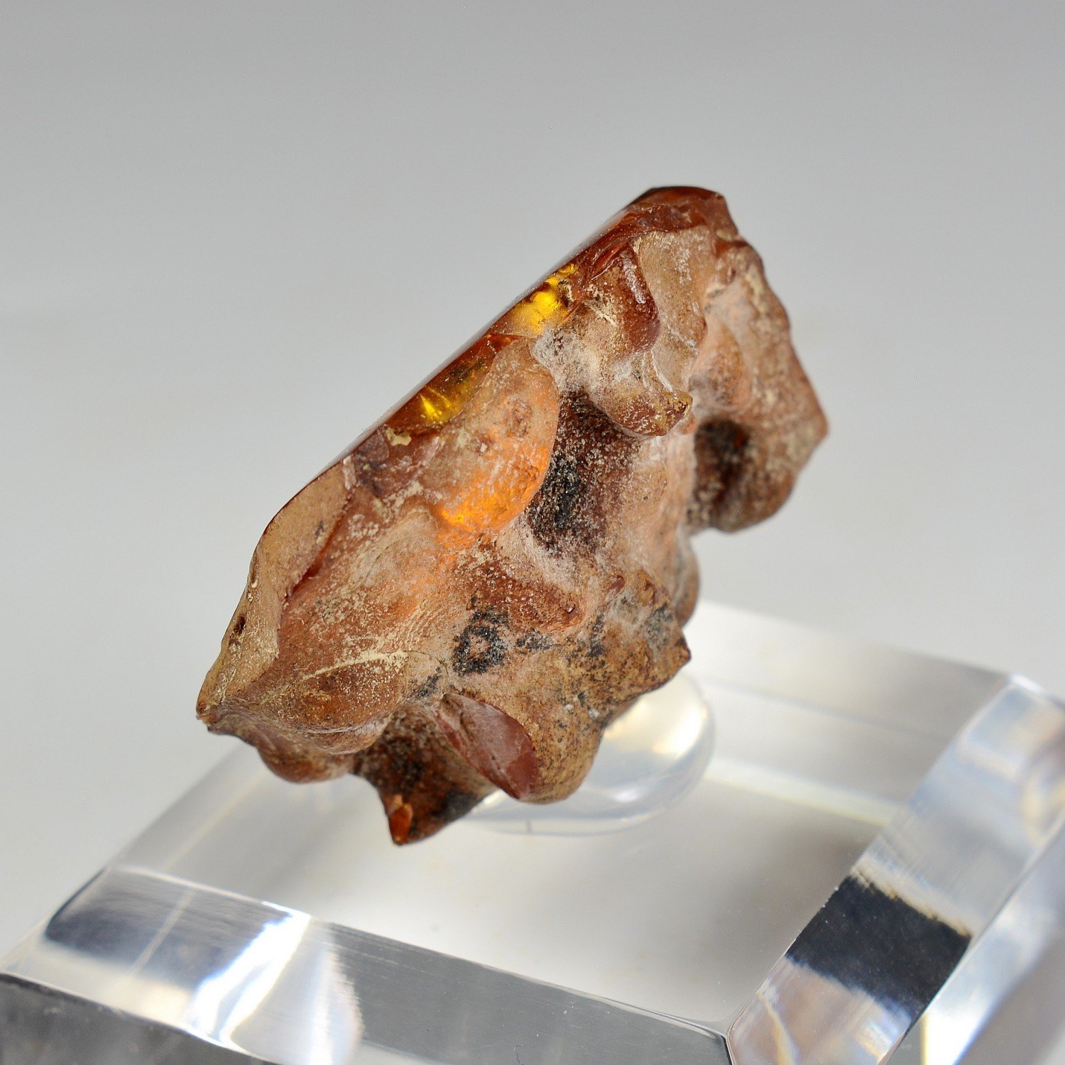 Amber - Chevrière, Oise, France