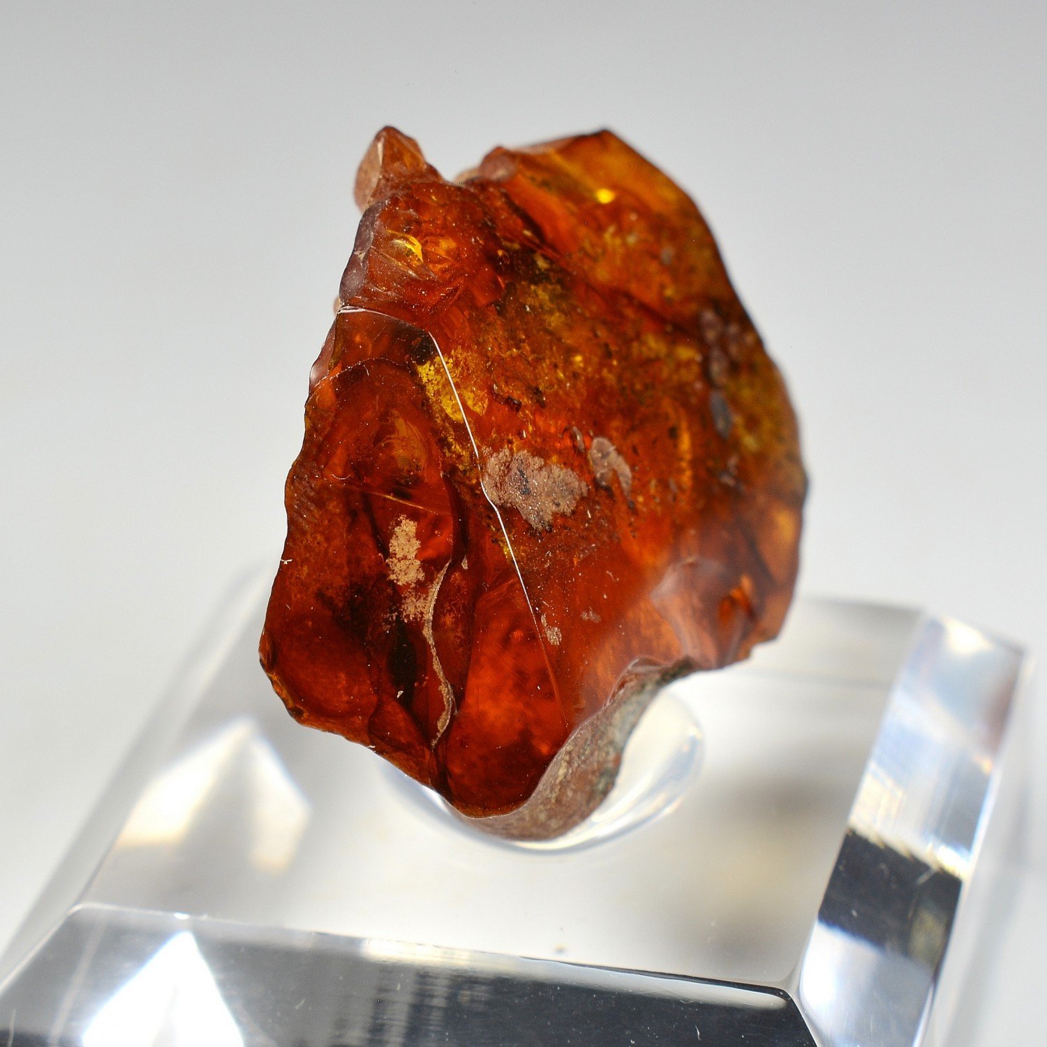 Amber - Chevrière, Oise, France