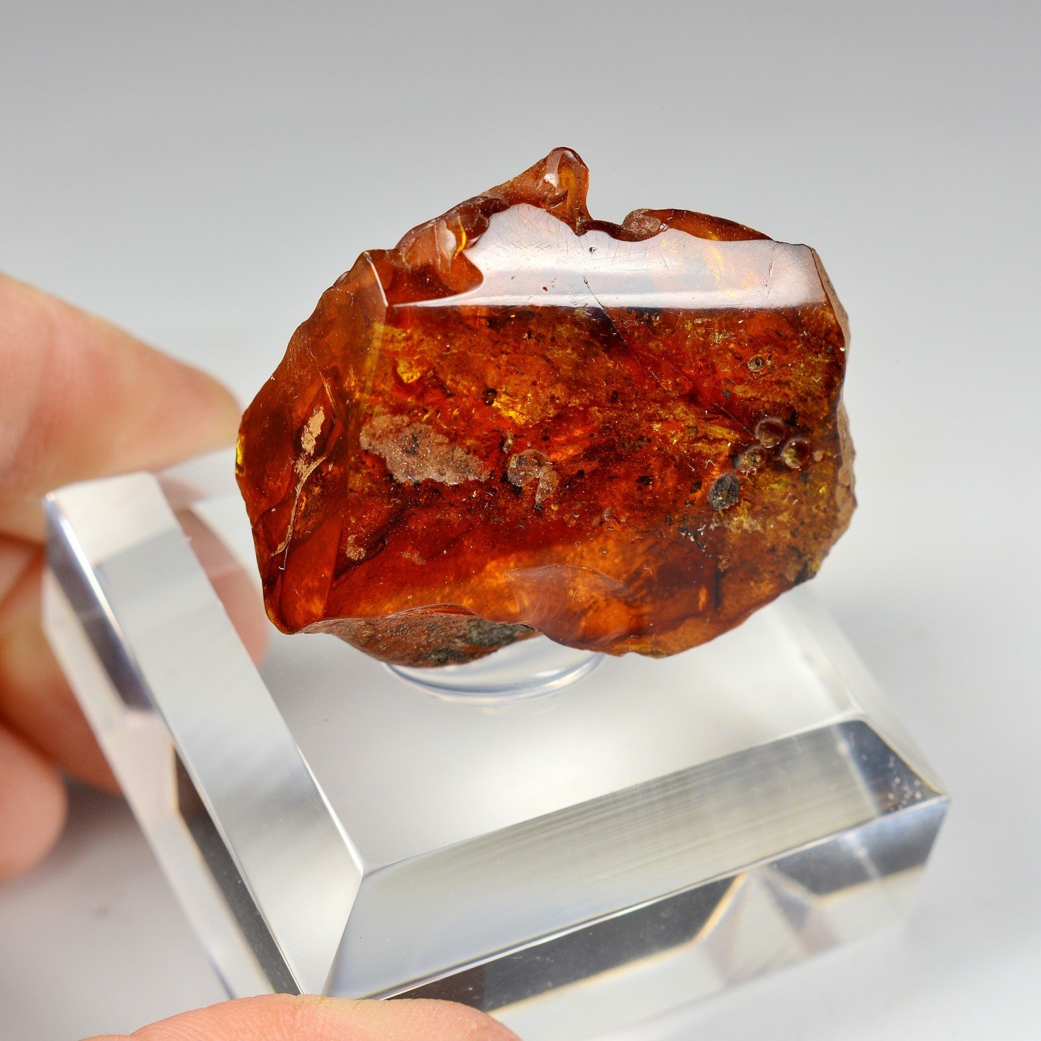 Amber - Chevrière, Oise, France