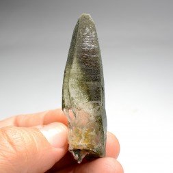 Quartz and chlorite - Ganesh Himal, Nepal