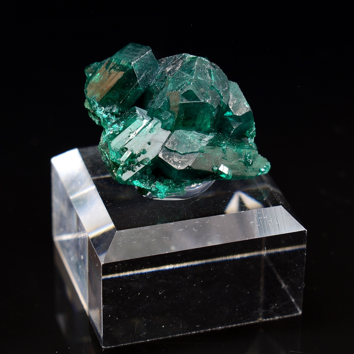 Dioptase - Brazzaville, Congo Democratic Republic