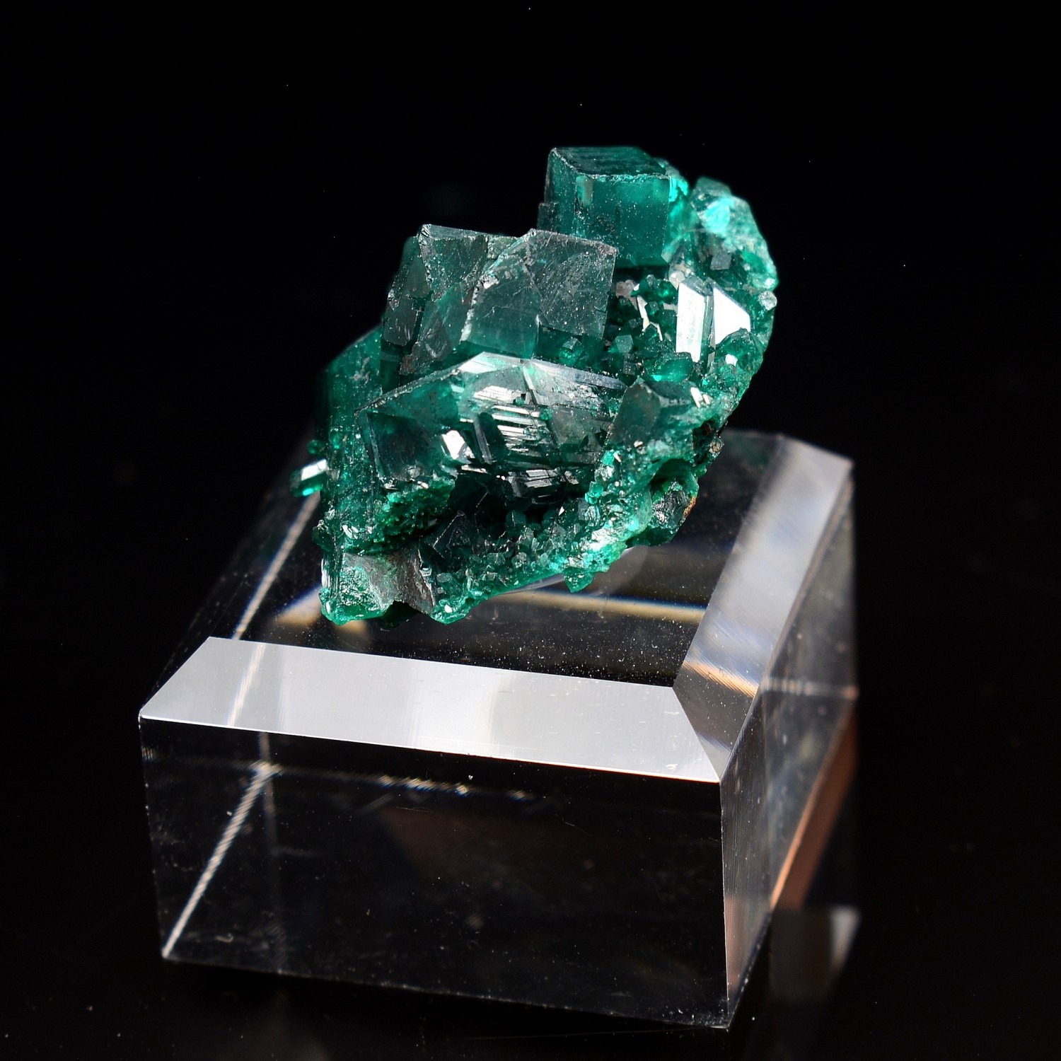 Dioptase - Brazzaville, Congo Democratic Republic