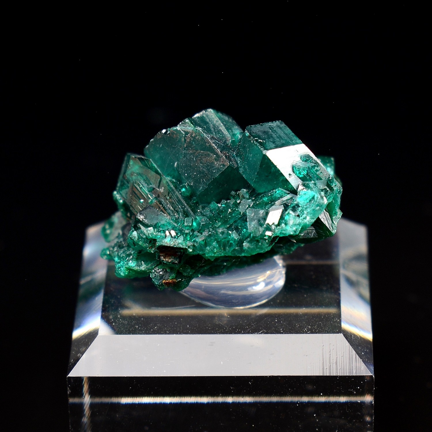 Dioptase - Brazzaville, Congo Democratic Republic