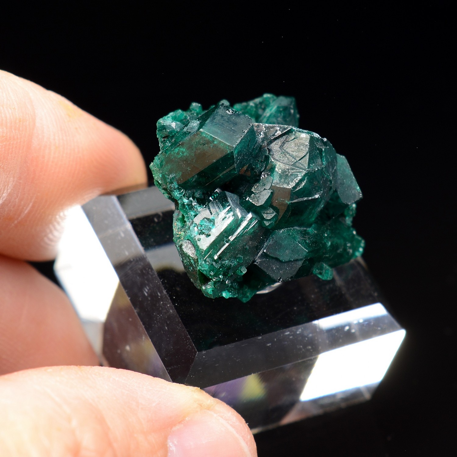Dioptase - Brazzaville, Congo Democratic Republic