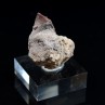 Zunyite on matrix - Qalat-e-Balat, Hormozgan, Persia