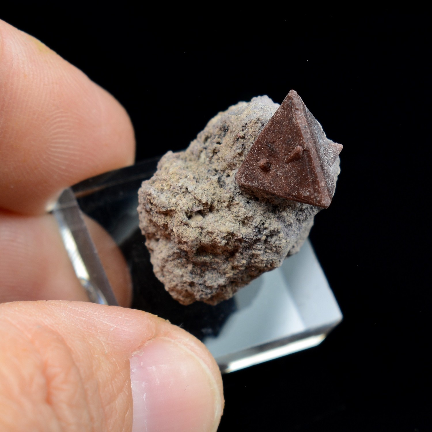 Zunyite on matrix - Qalat-e-Balat, Hormozgan, Persia