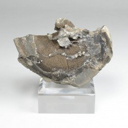 Diamond quartz - Orpierre, Hautes-Alpes, France