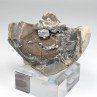Diamond quartz - Orpierre, Hautes-Alpes, France