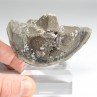Diamond quartz - Orpierre, Hautes-Alpes, France