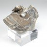 Diamond quartz - Orpierre, Hautes-Alpes, France