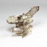 Smoky quartz - Aiguille d'Argentière, Mont Blanc Massif, Haute-Savoie, France
