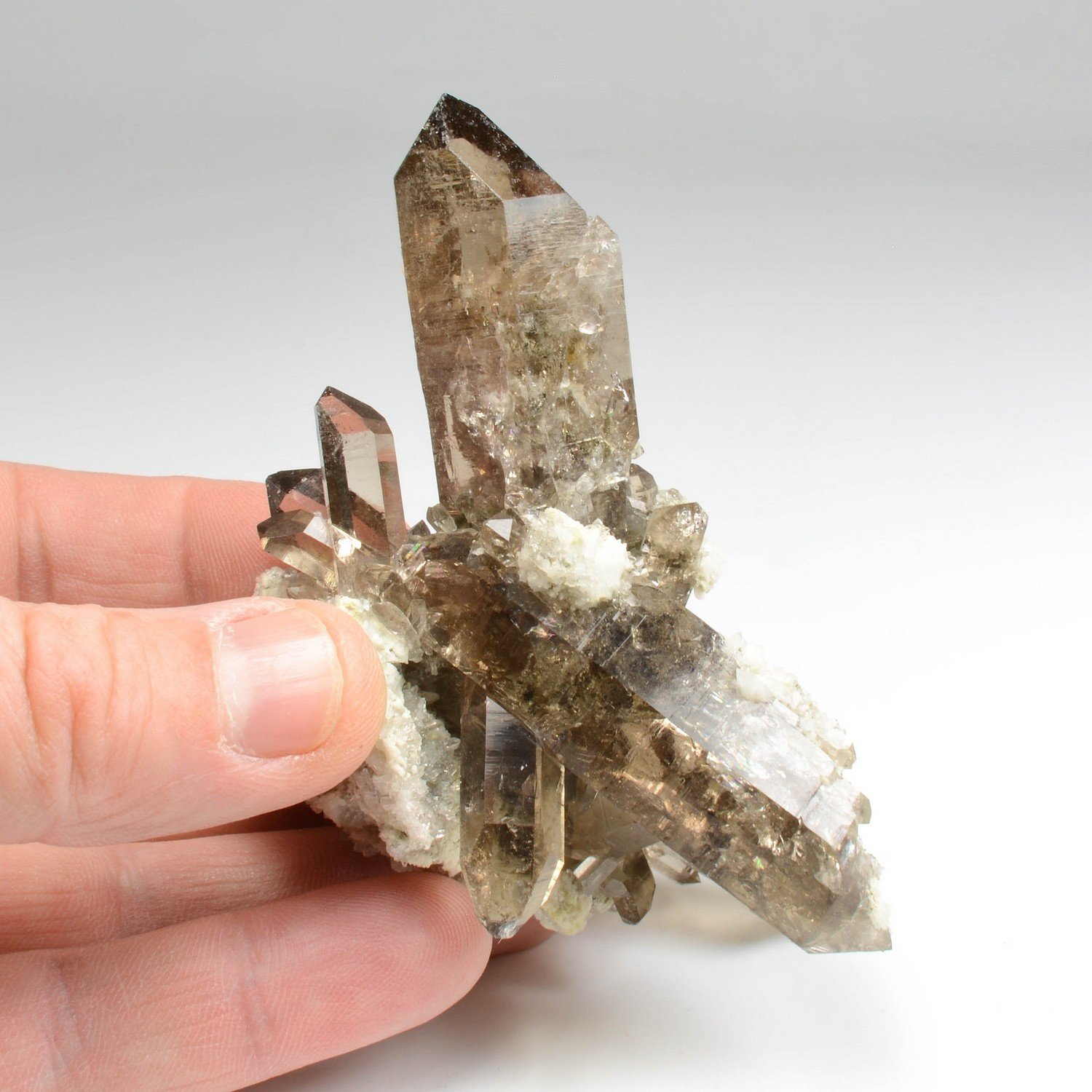 Smoky quartz - Aiguille d'Argentière, Mont Blanc Massif, Haute-Savoie, France
