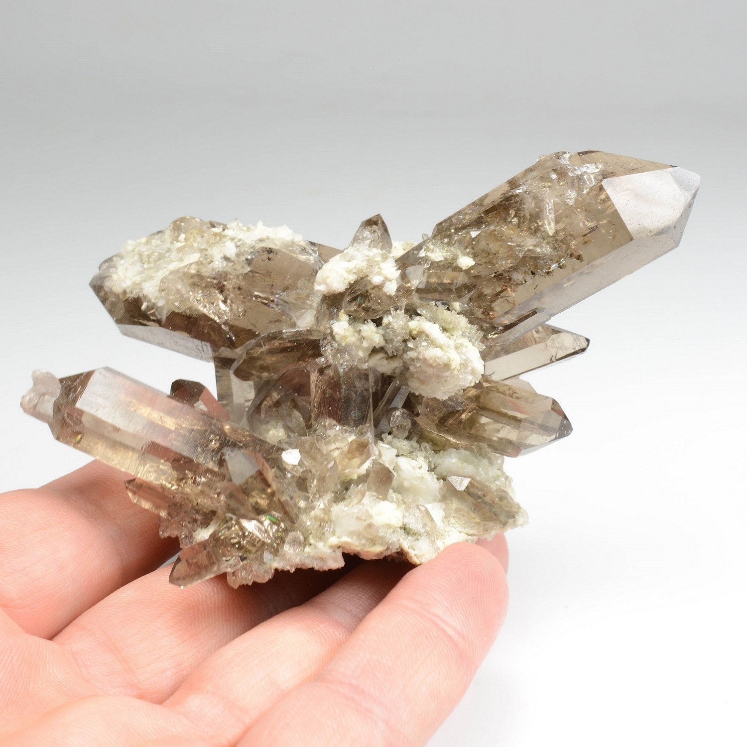 Smoky quartz - Aiguille d'Argentière, Mont Blanc Massif, Haute-Savoie, France