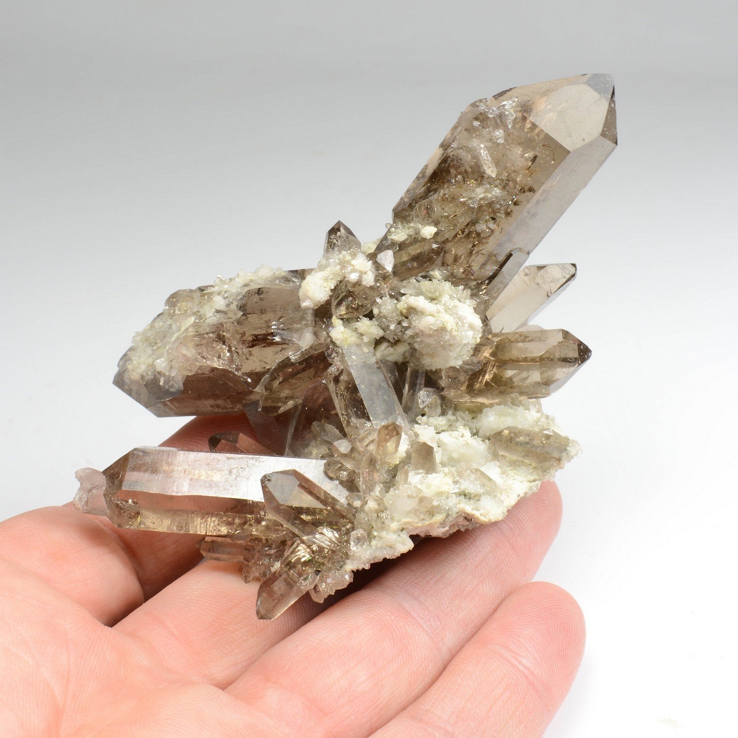 Smoky quartz - Aiguille d'Argentière, Mont Blanc Massif, Haute-Savoie, France