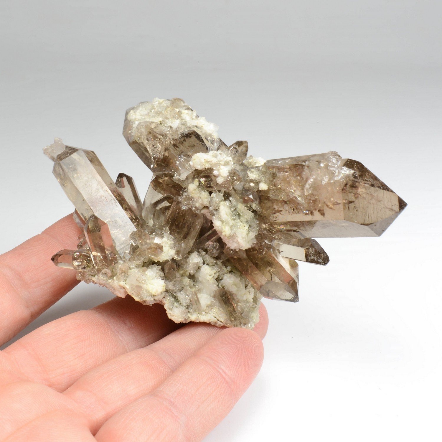 Smoky quartz - Aiguille d'Argentière, Mont Blanc Massif, Haute-Savoie, France