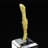 Plumbogummite psm après pyromorphite - Mine Yangshuo, Guilin, Province de Guangxi, Chine