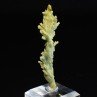 Plumbogummite psm après pyromorphite - Mine Yangshuo, Chine