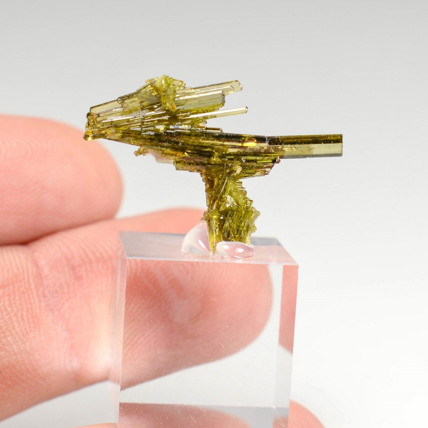 Epidote - Alchuri, Pakistan