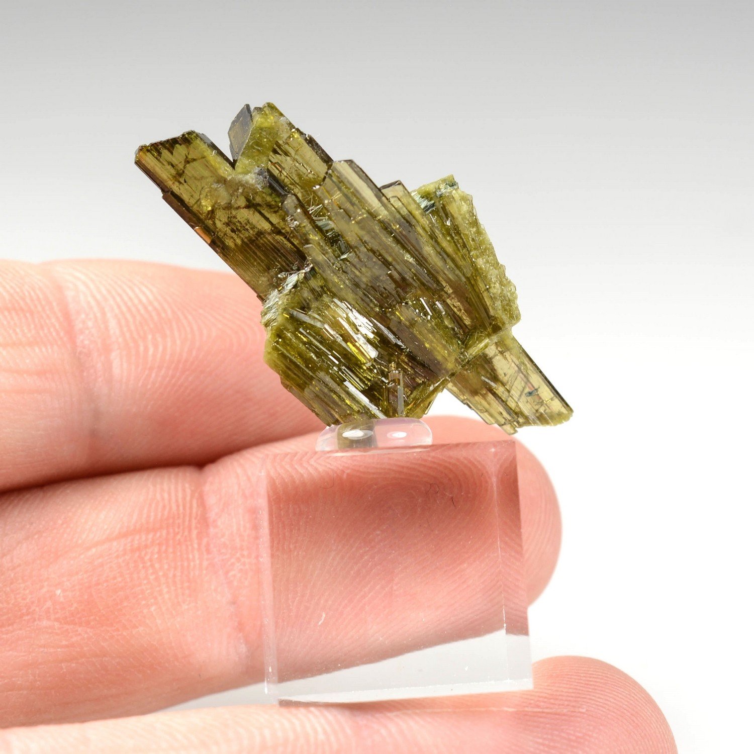Epidote - Alchuri, Pakistan