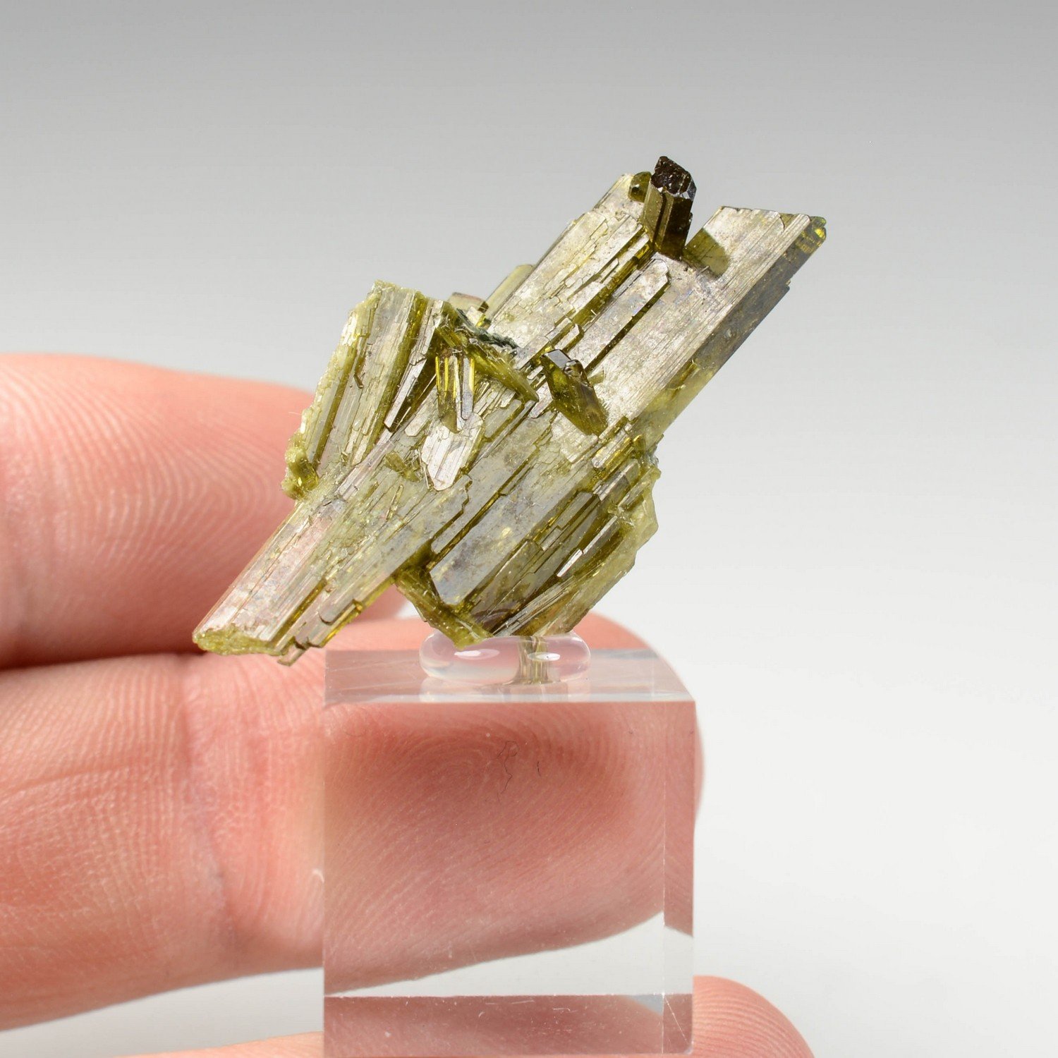 Epidote - Alchuri, Pakistan