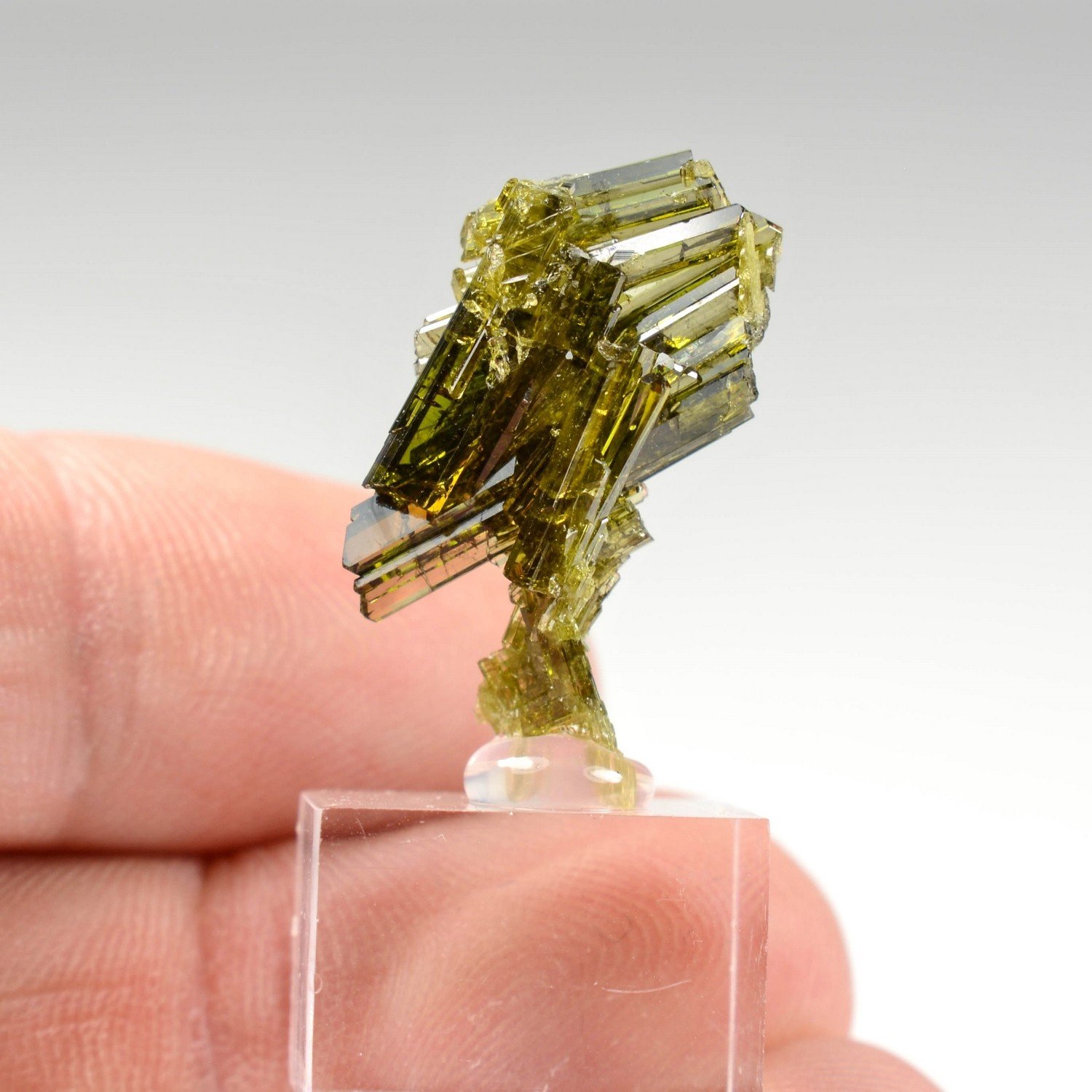 Epidote - Alchuri, Pakistan