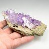 Amethyst - Piedra Parada, Veracruz, Mexico