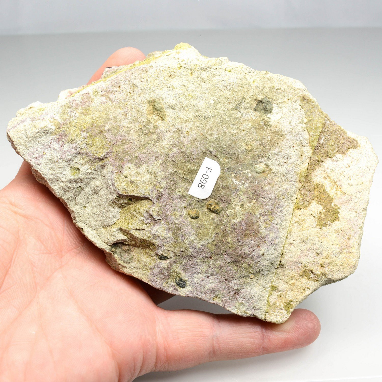Amethyst - Piedra Parada, Veracruz, Mexico